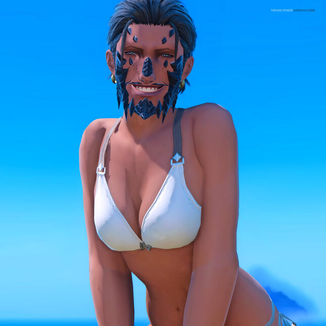 Windowlicker